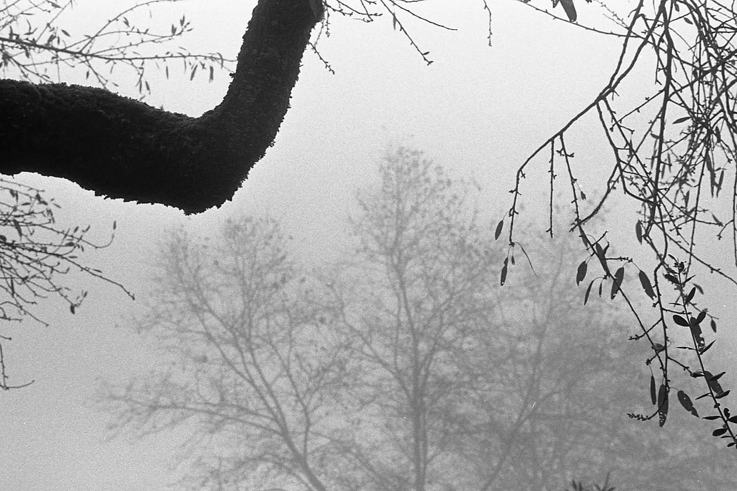 Grazalema · Tierra de lluvia