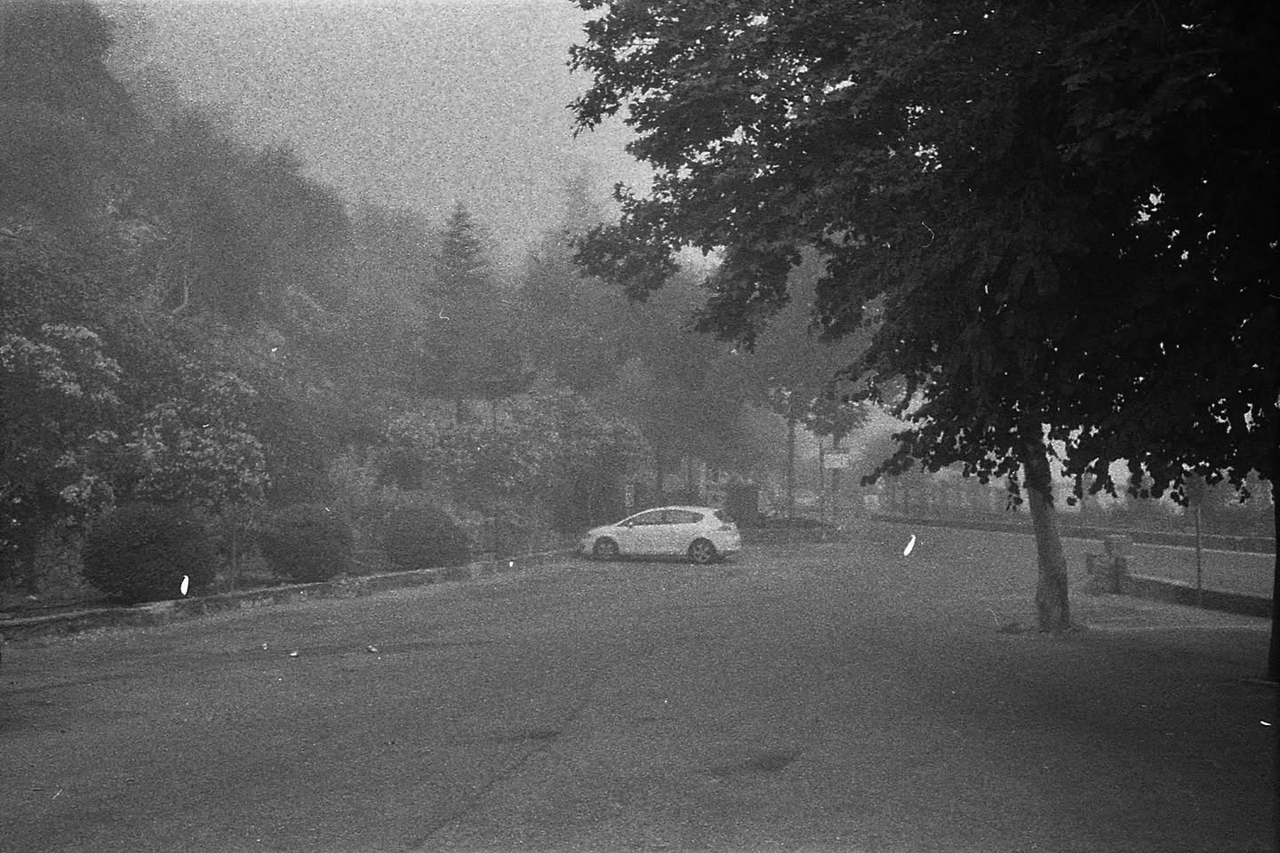 Grazalema · Tierra de lluvia
