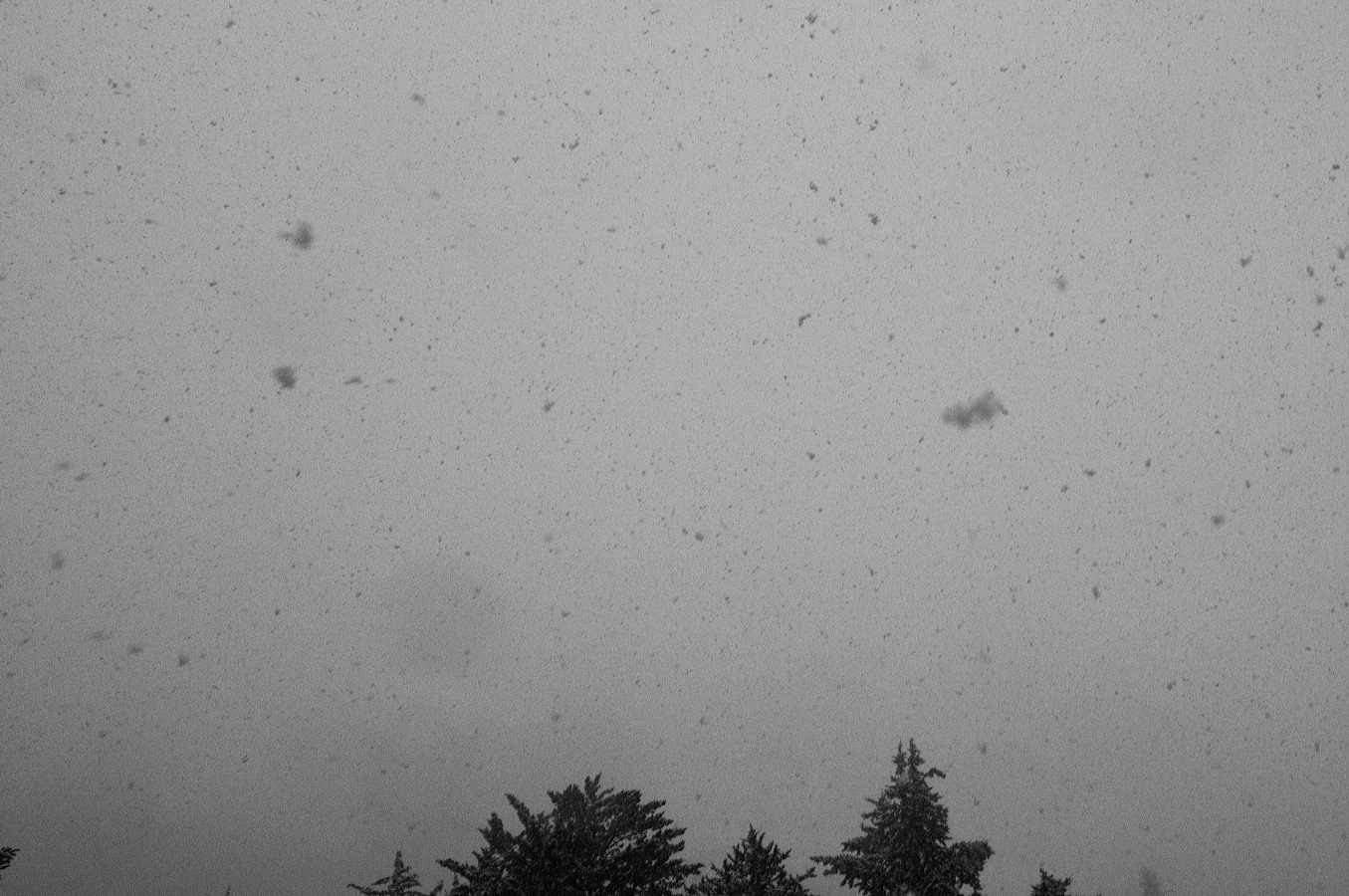 Grazalema · Tierra de lluvia