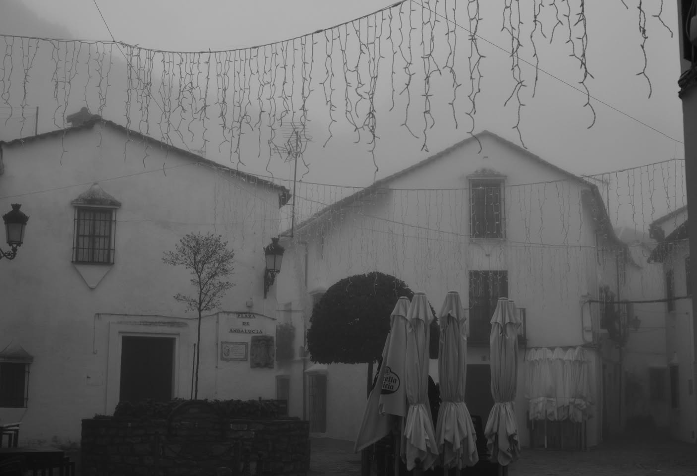 Grazalema · Tierra de lluvia