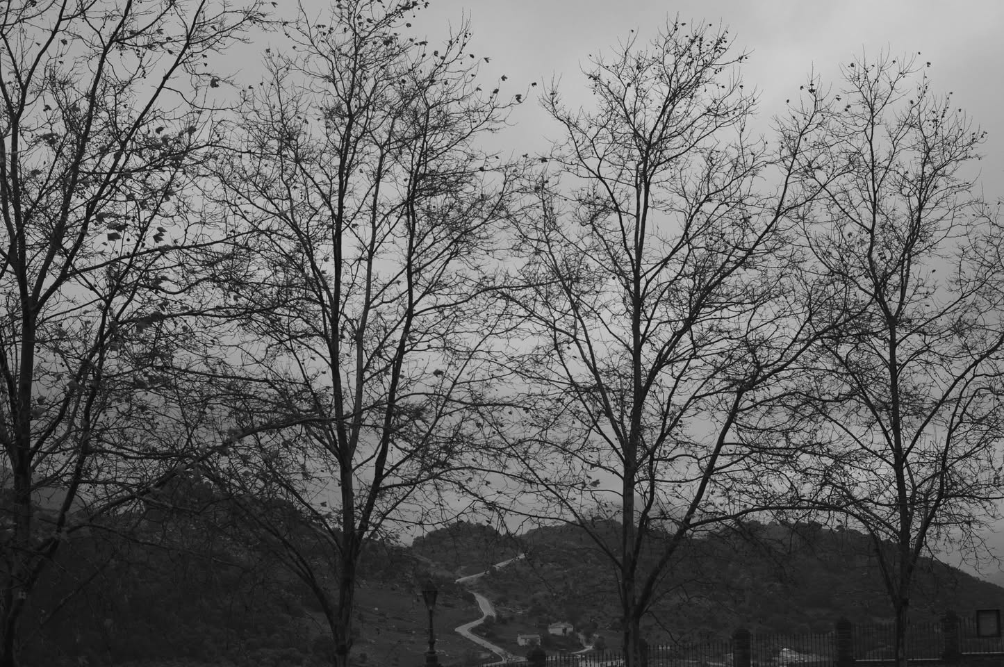 Grazalema · Tierra de lluvia