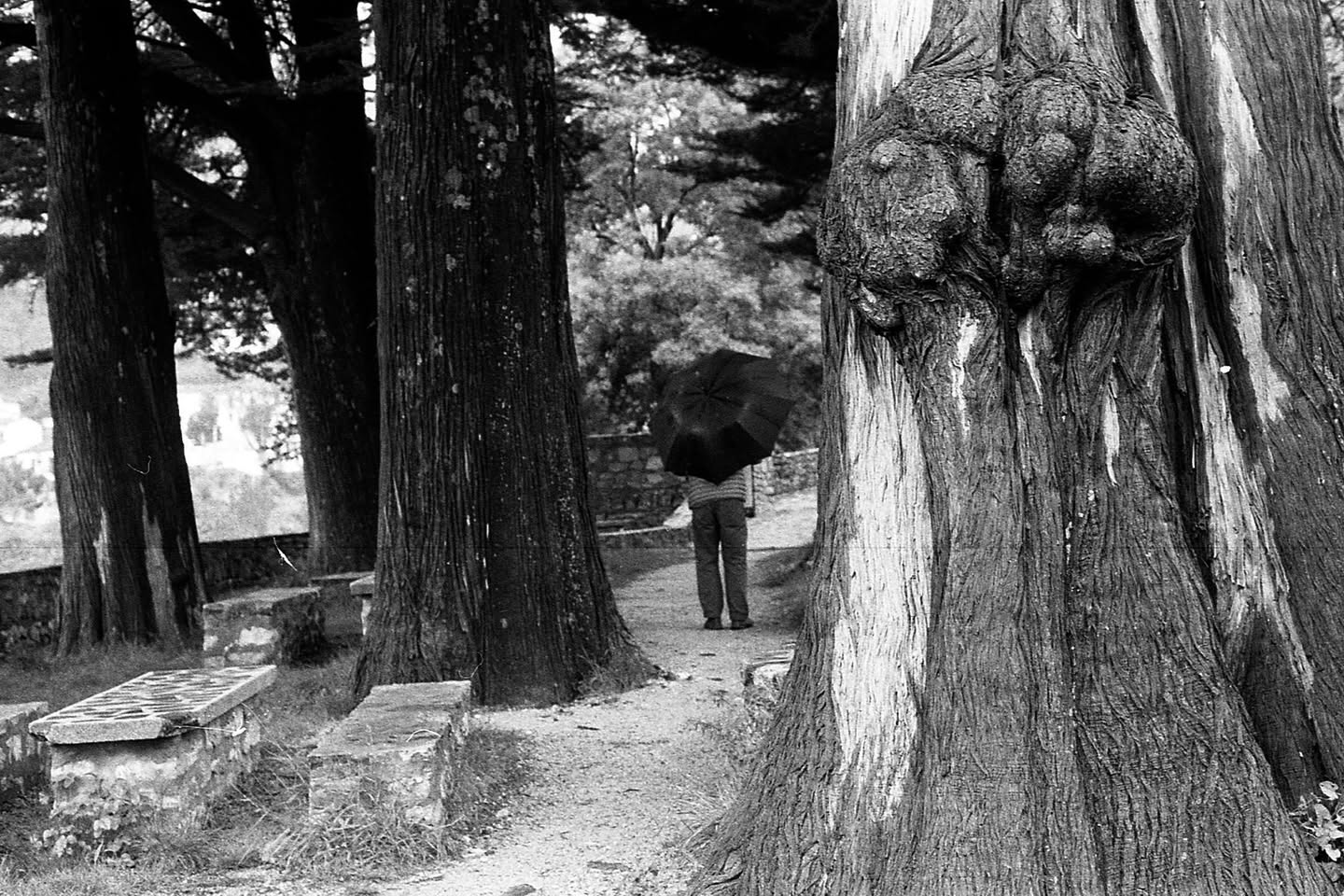 Grazalema · Tierra de lluvia