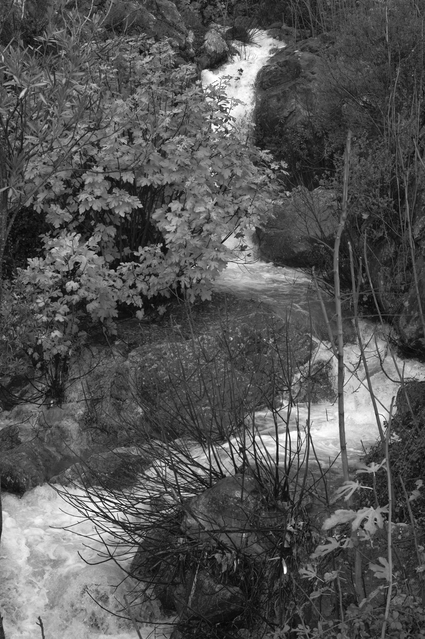 Grazalema · Tierra de lluvia