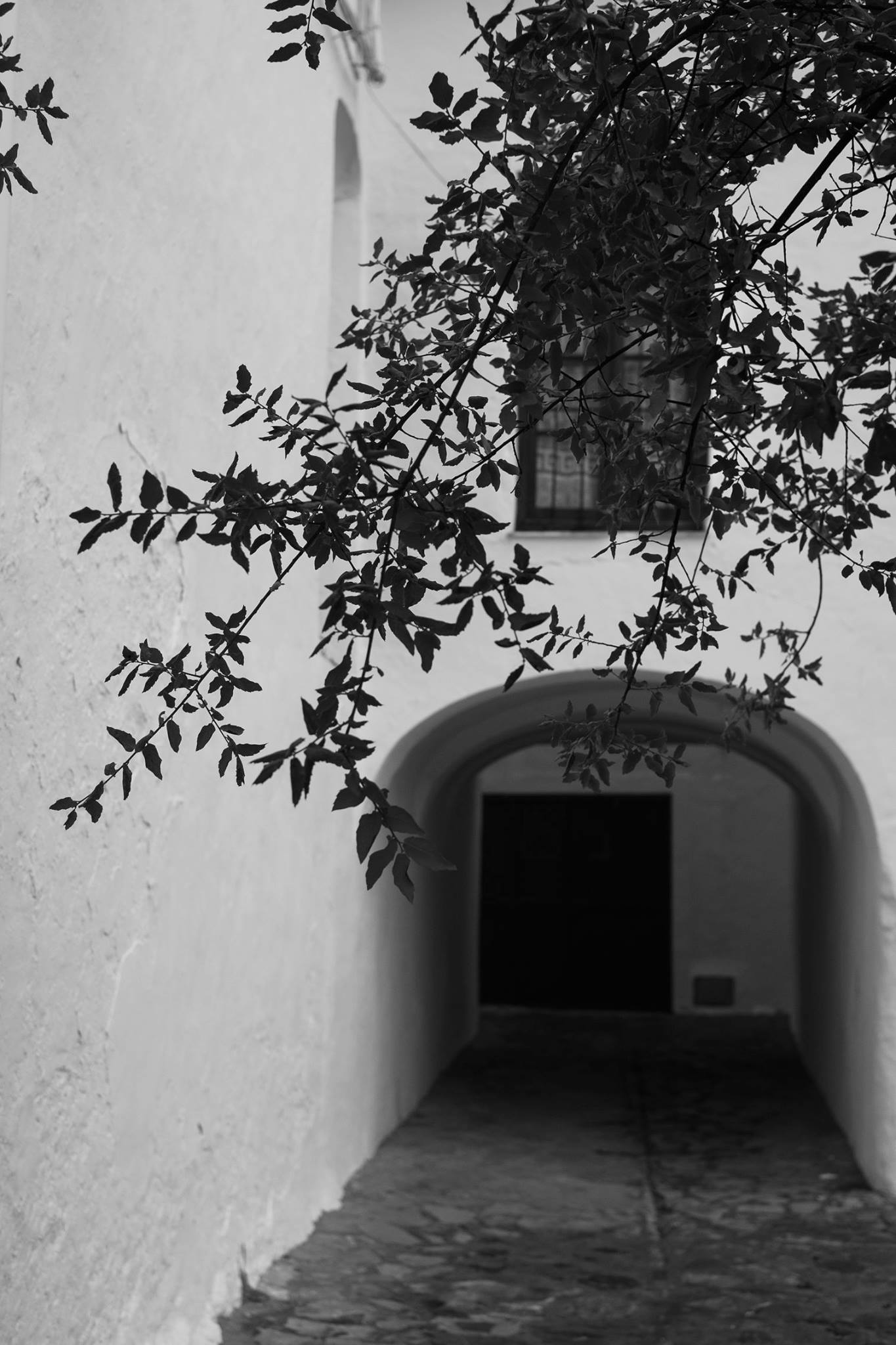 Grazalema · Tierra de lluvia