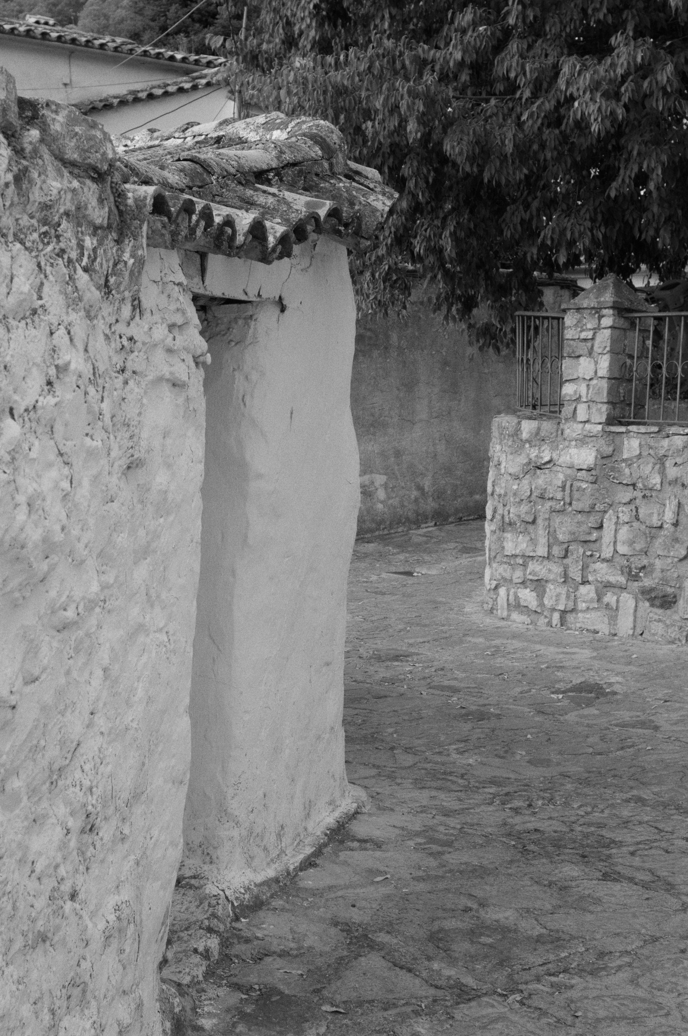 Grazalema · Tierra de lluvia