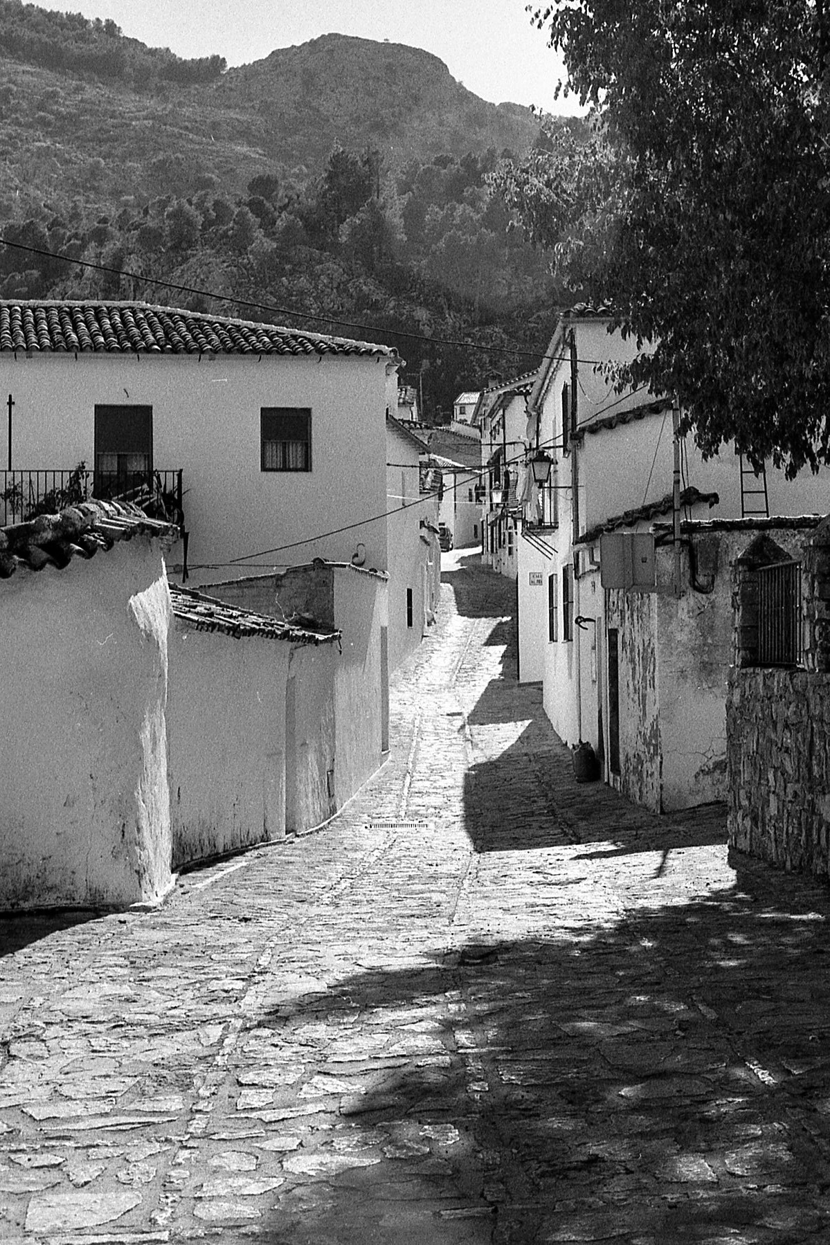 Grazalema · Tierra de lluvia