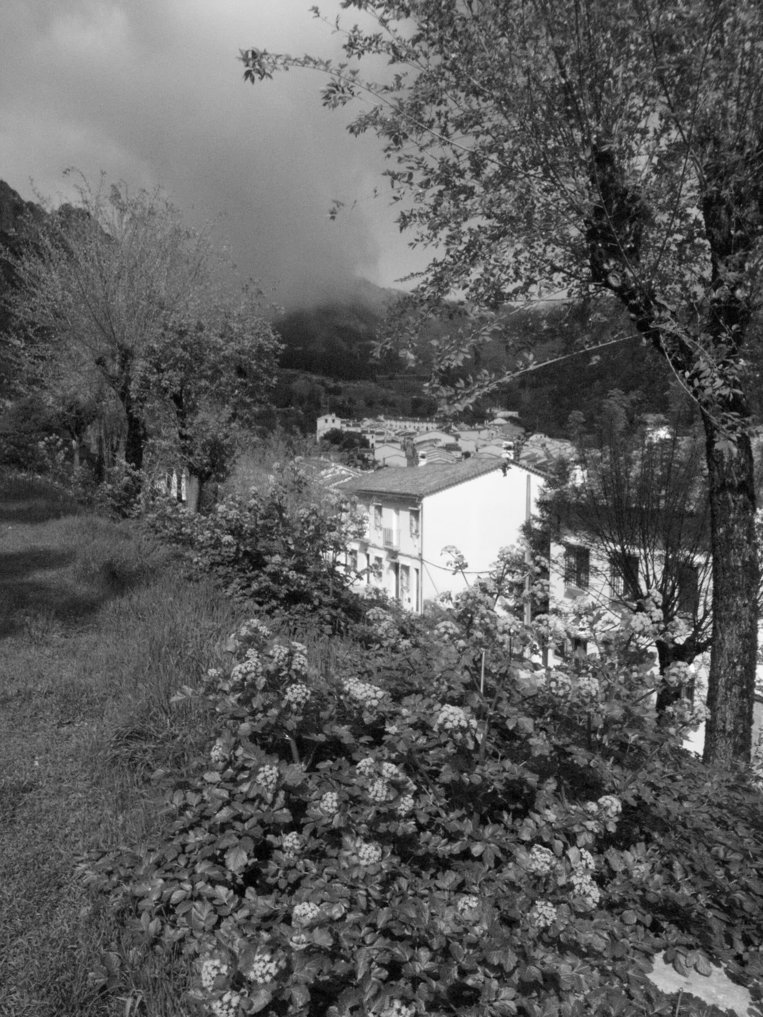 Grazalema · Tierra de lluvia