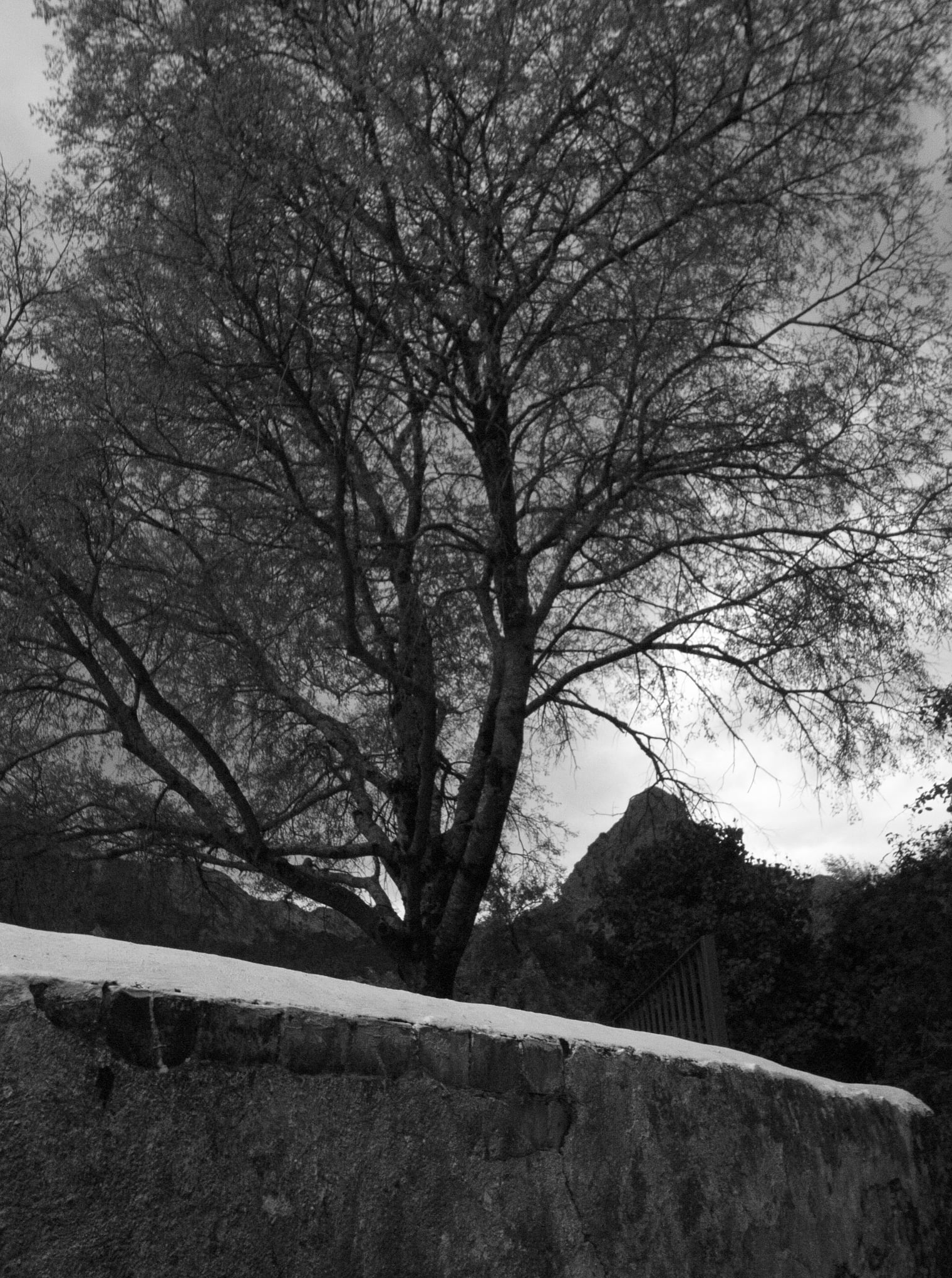 Grazalema · Tierra de lluvia