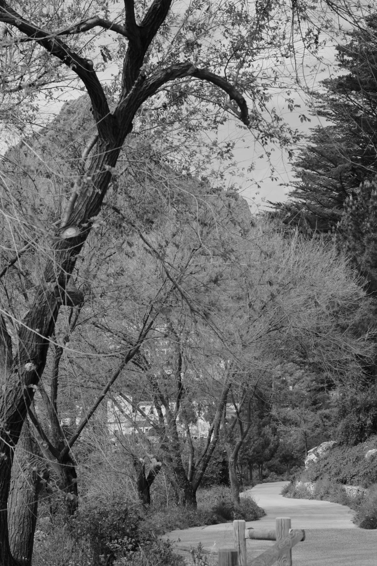 Grazalema · Tierra de lluvia