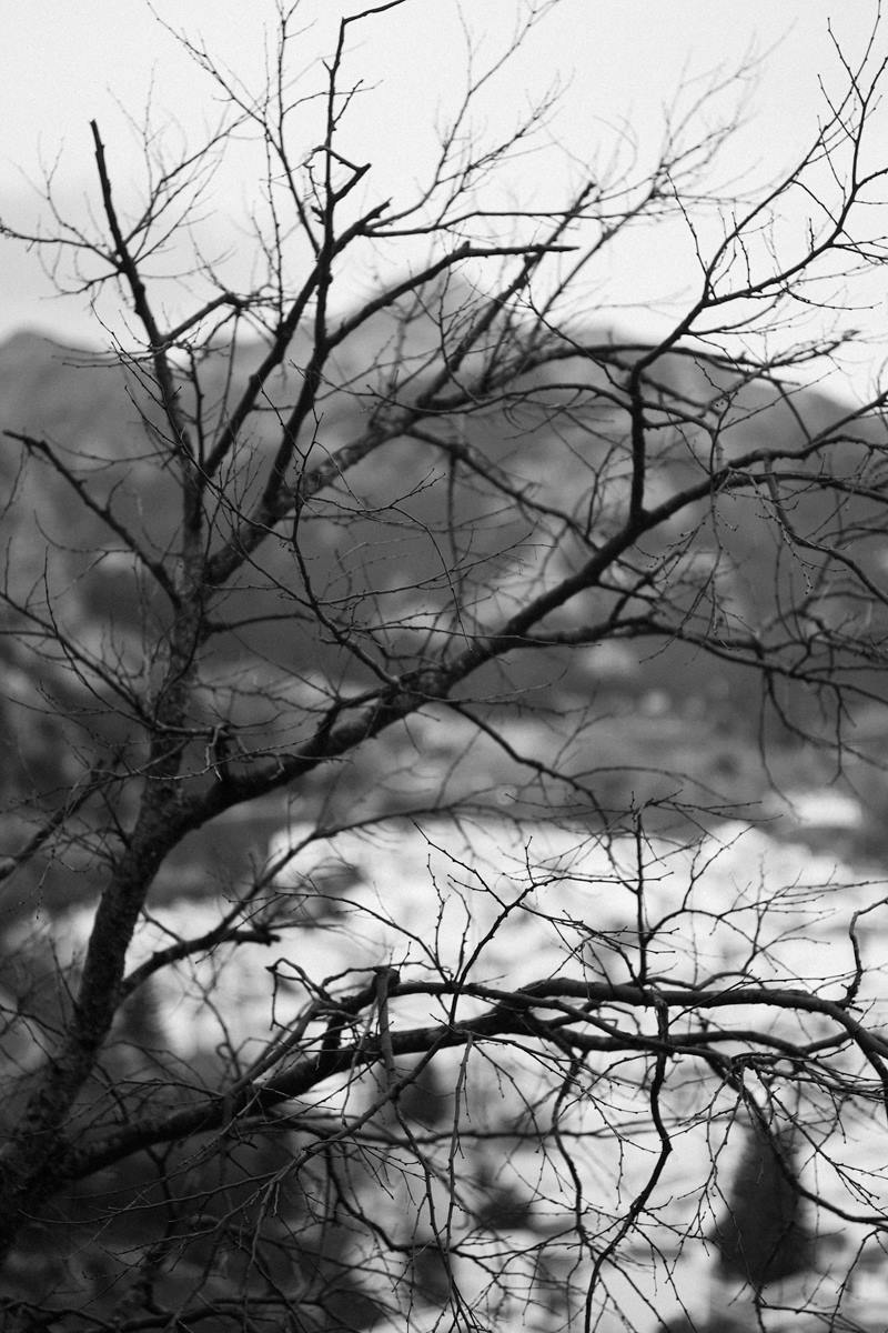 Grazalema · Tierra de lluvia