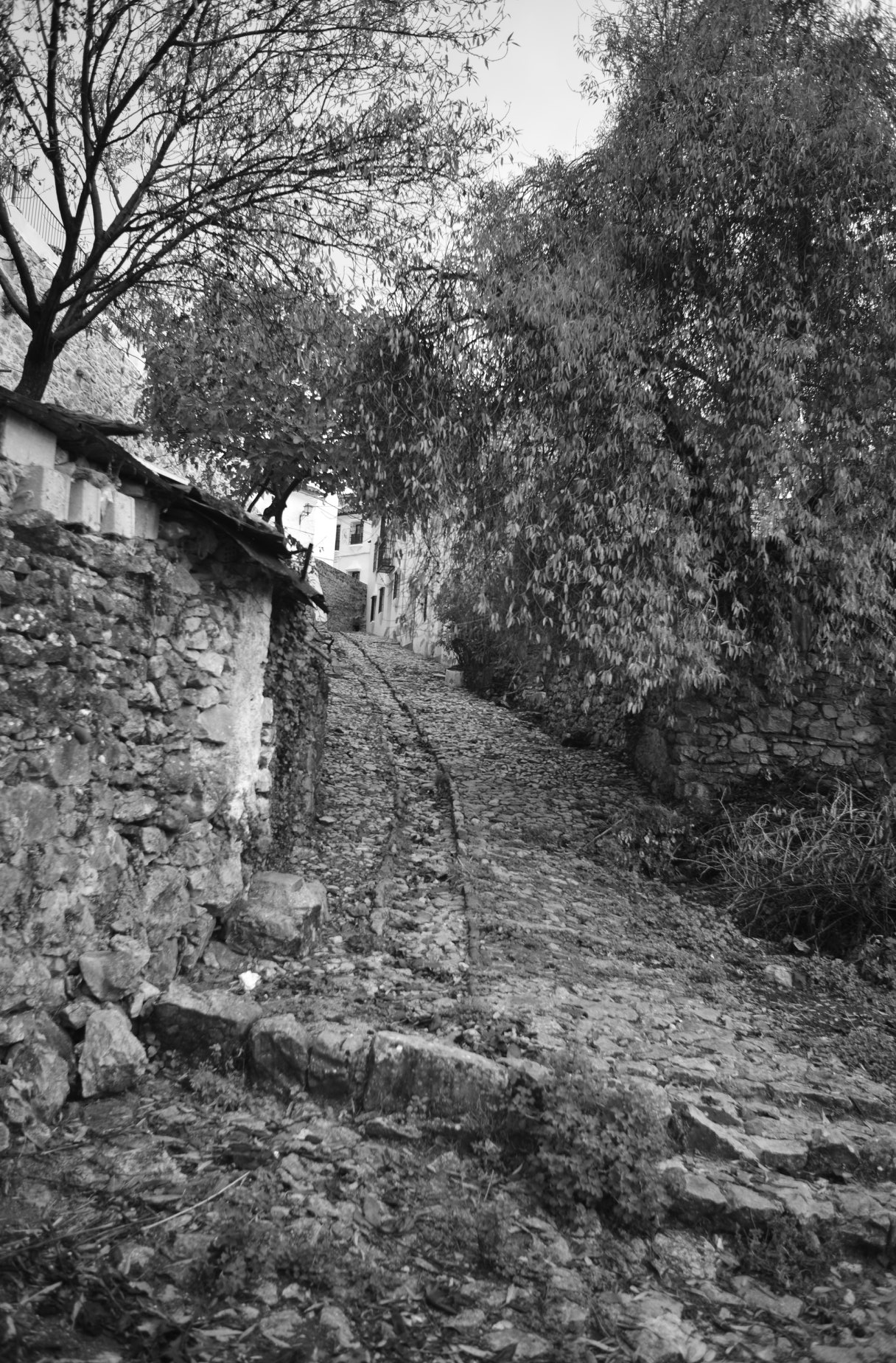 Grazalema · Tierra de lluvia