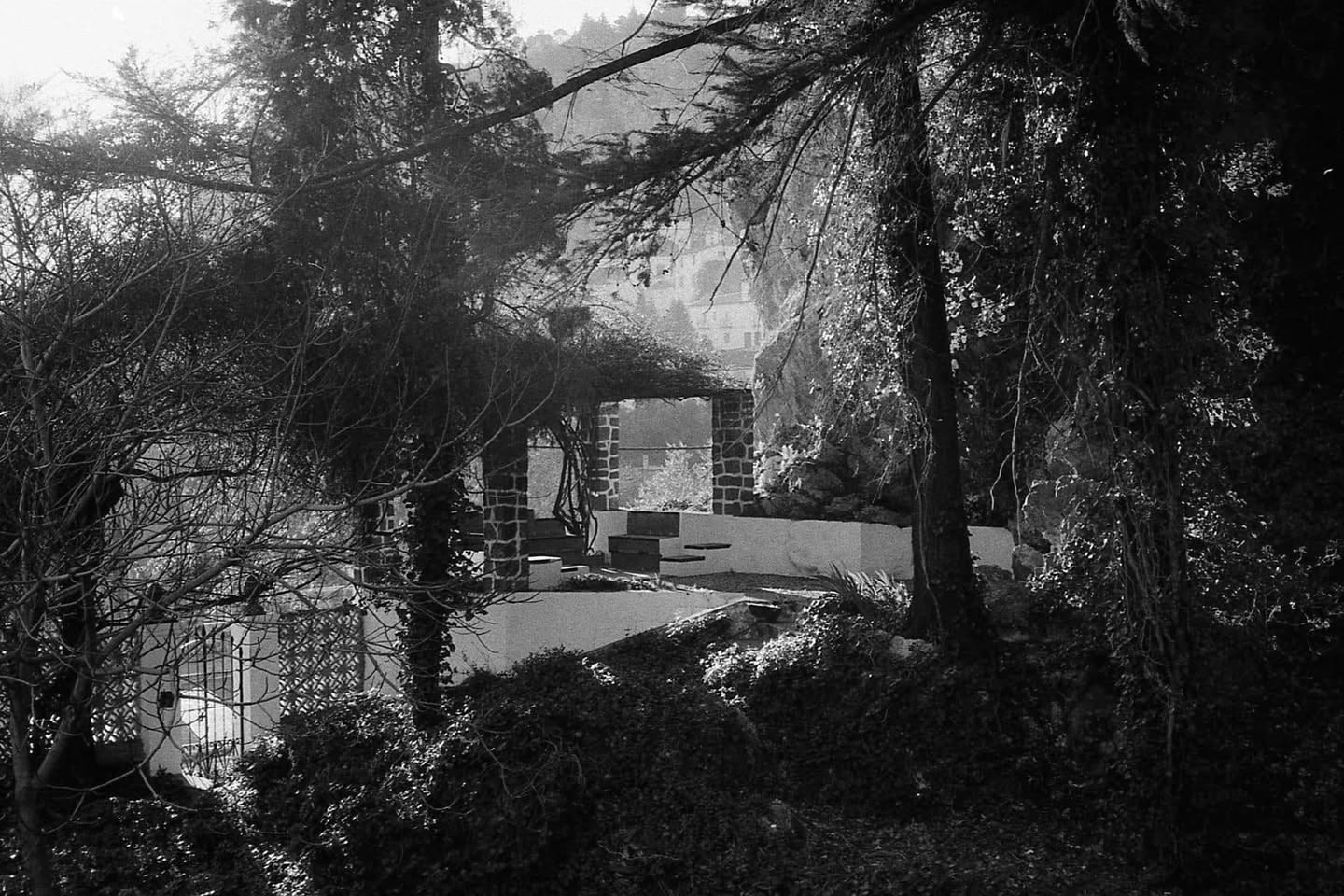 Grazalema · Tierra de lluvia