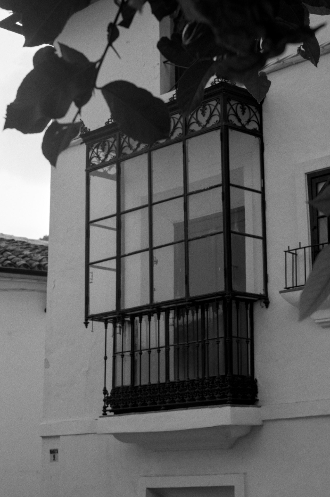 Grazalema · Tierra de lluvia