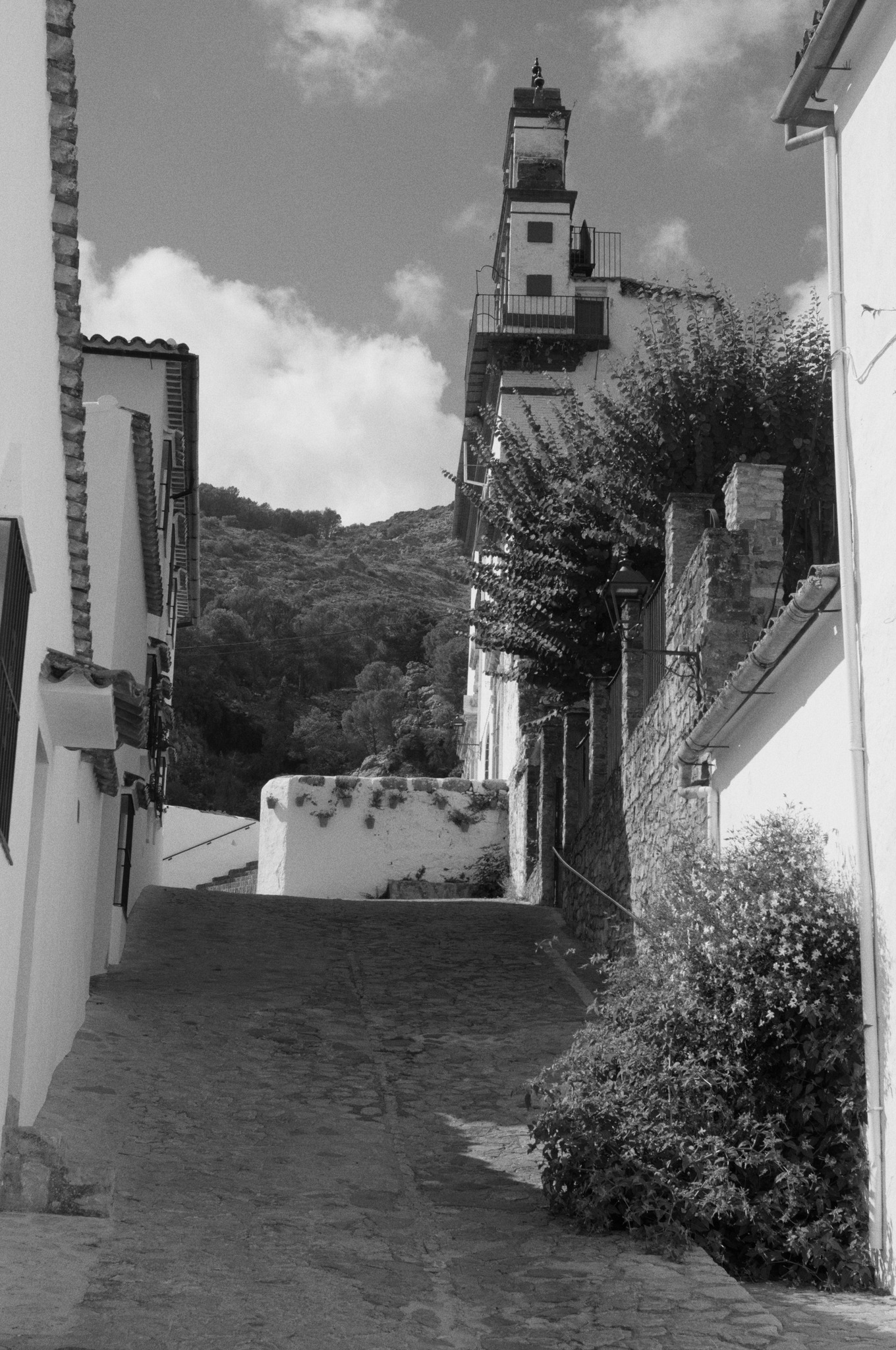 Grazalema · Tierra de lluvia