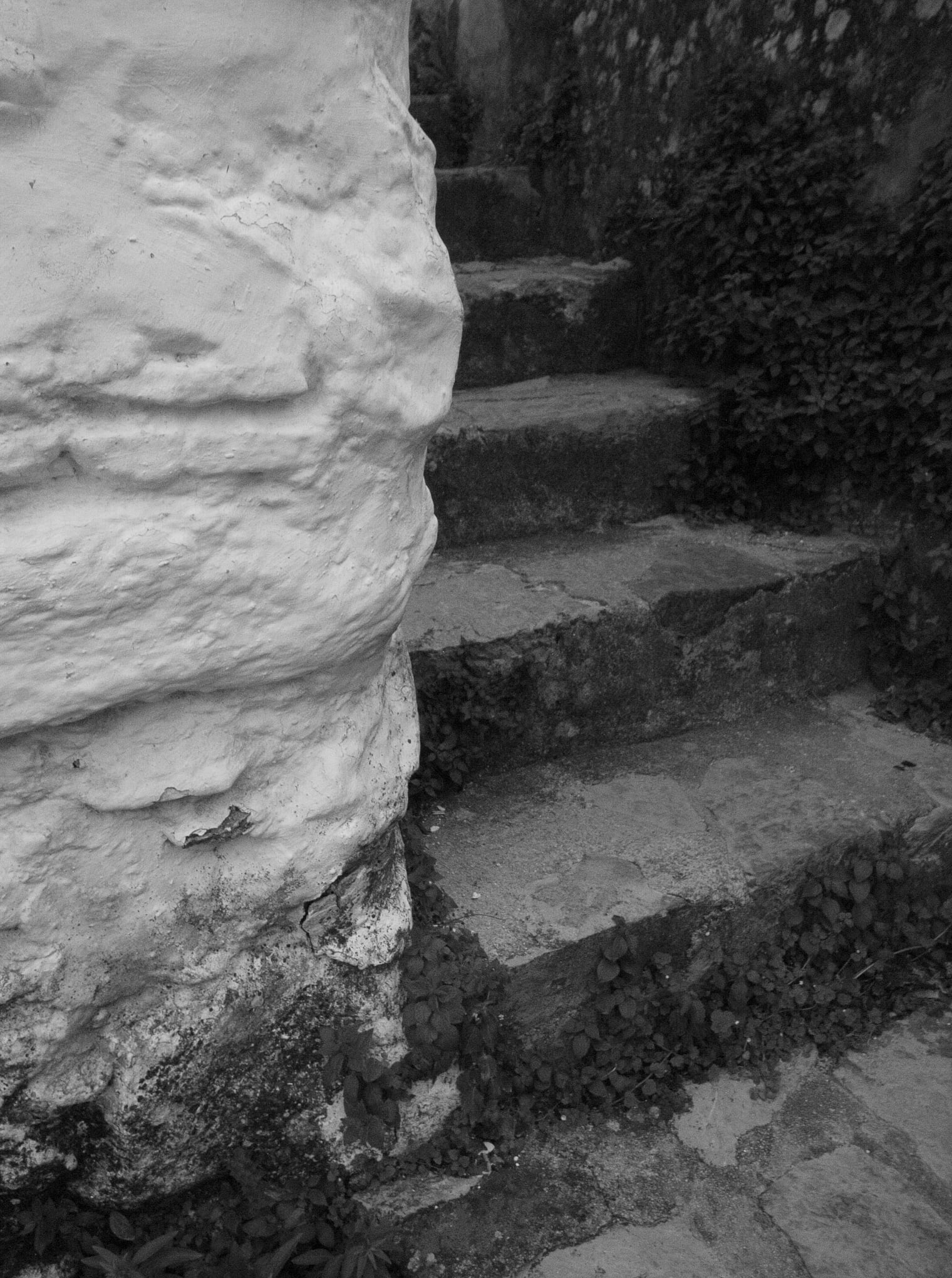 Grazalema · Tierra de lluvia