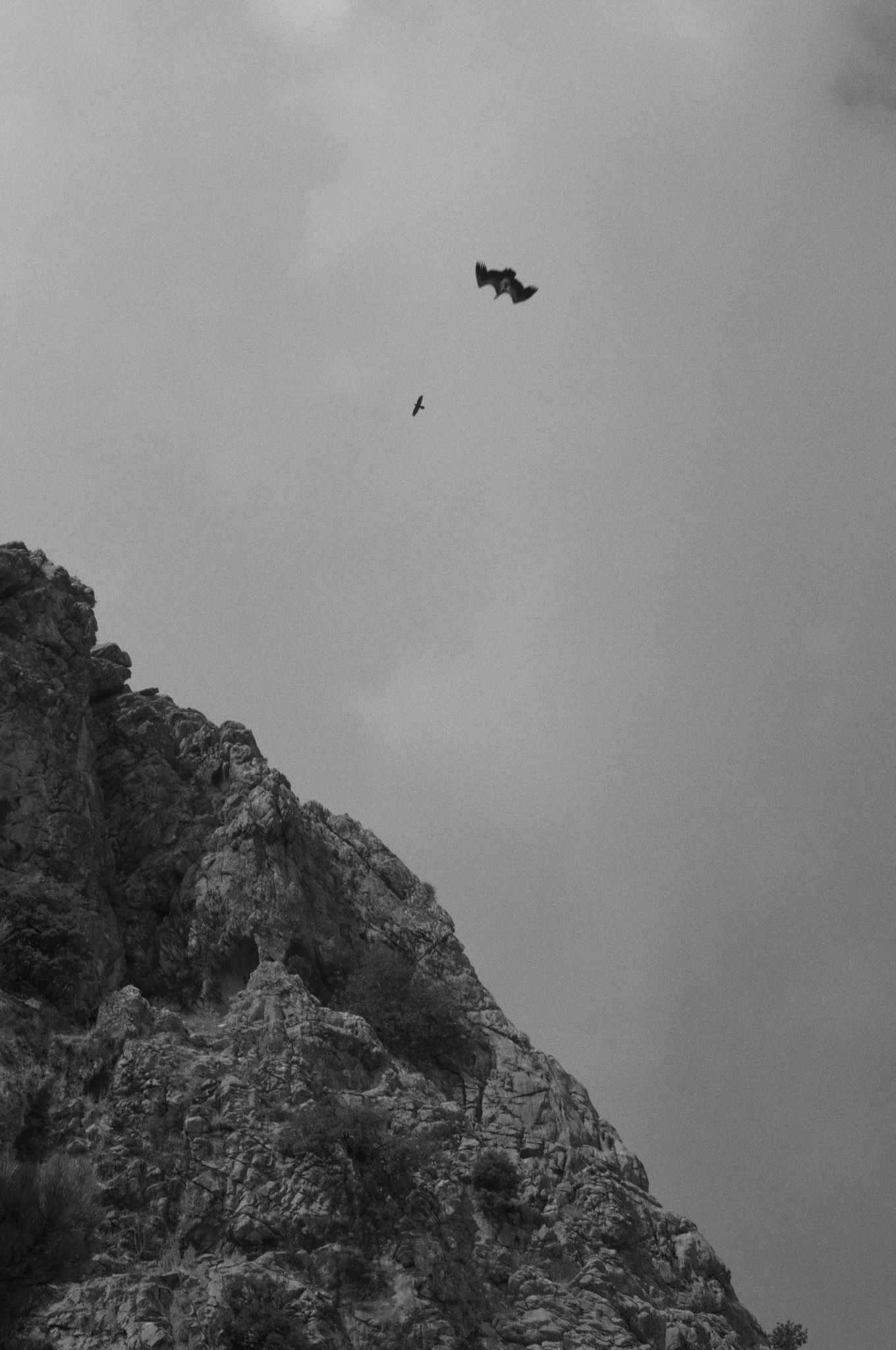 Grazalema · Tierra de lluvia