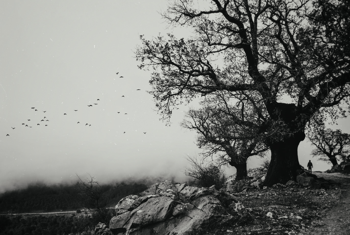 Grazalema · Tierra de lluvia