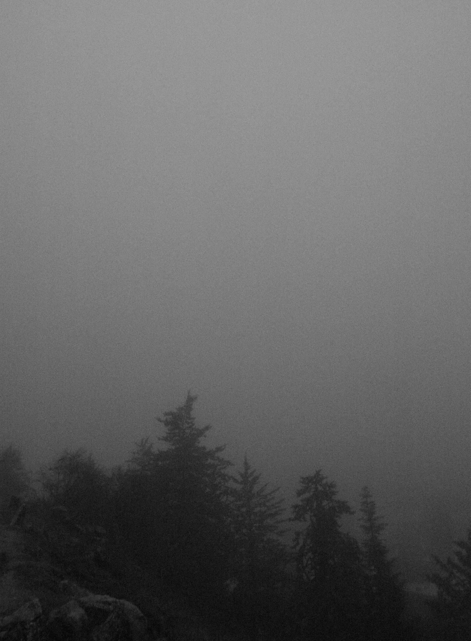 Grazalema · Tierra de lluvia