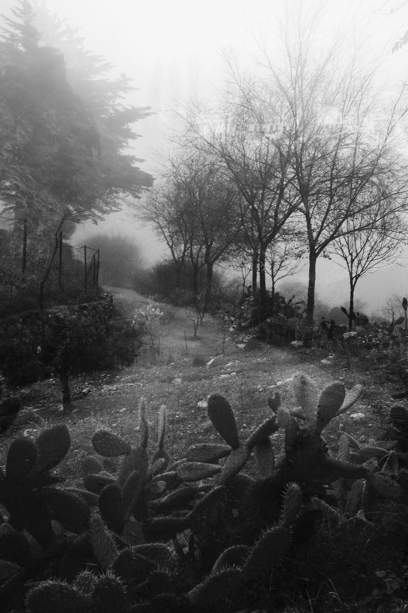 Grazalema · Tierra de lluvia