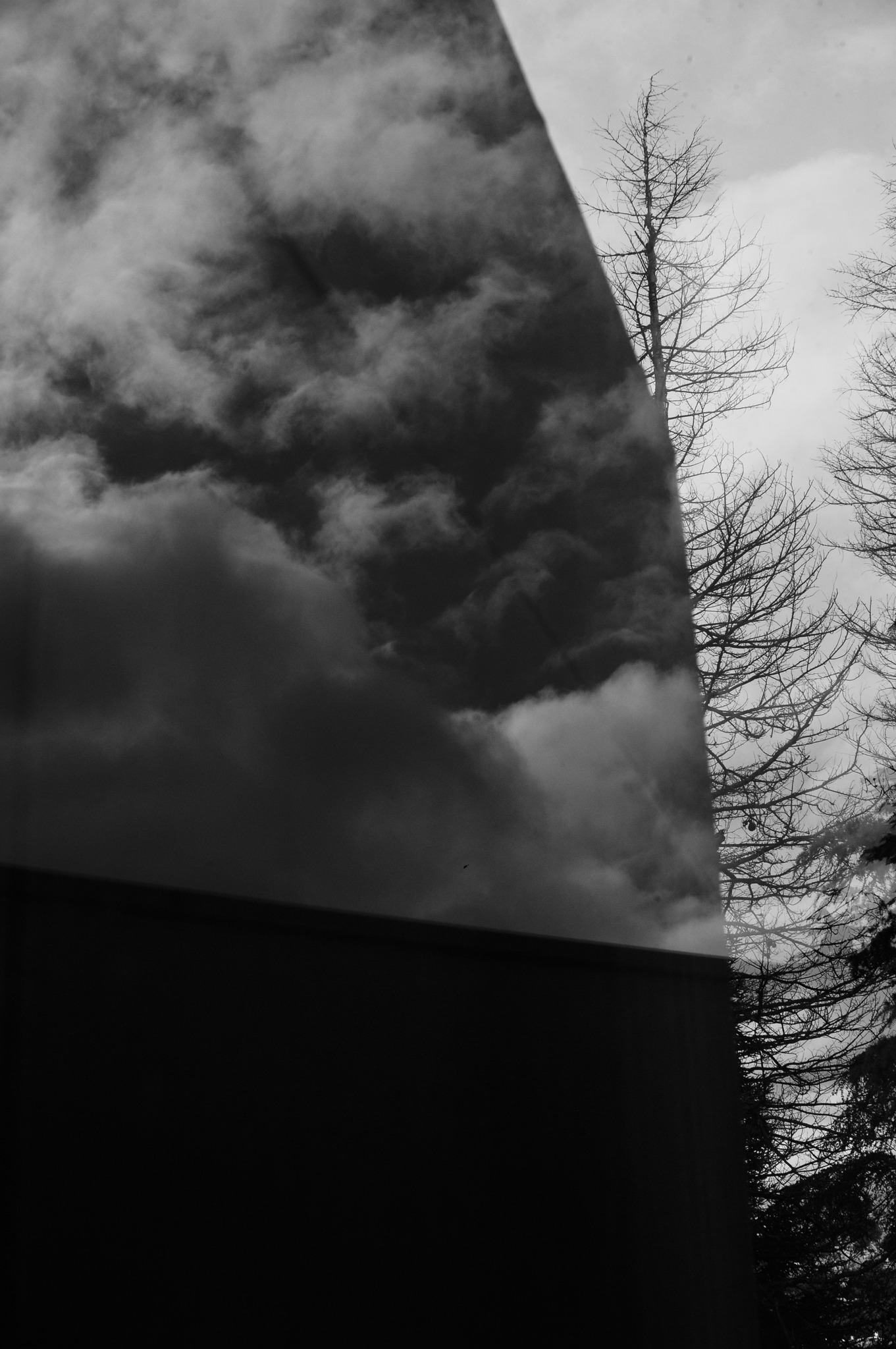 Grazalema · Tierra de lluvia