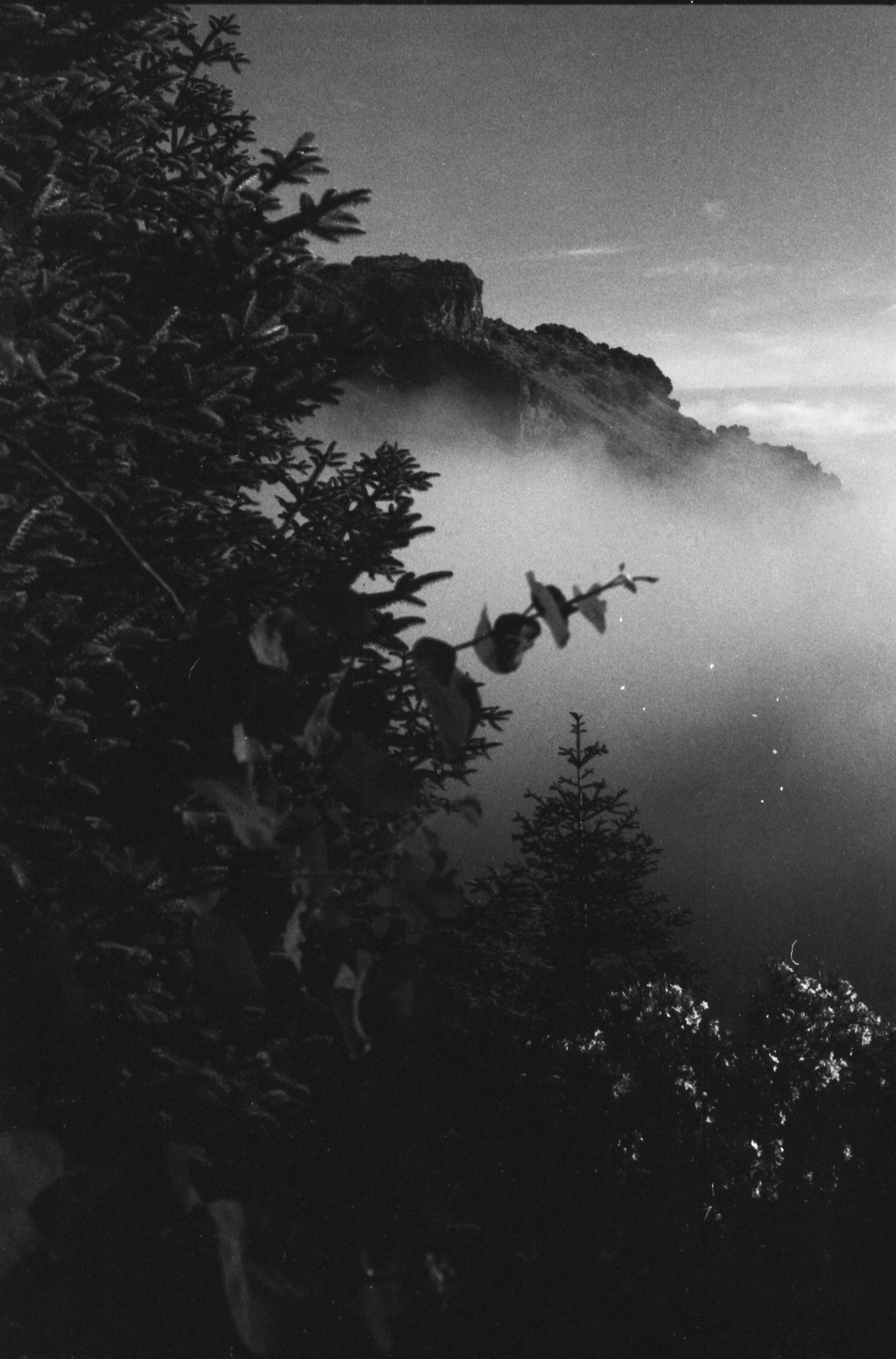 Grazalema · Tierra de lluvia