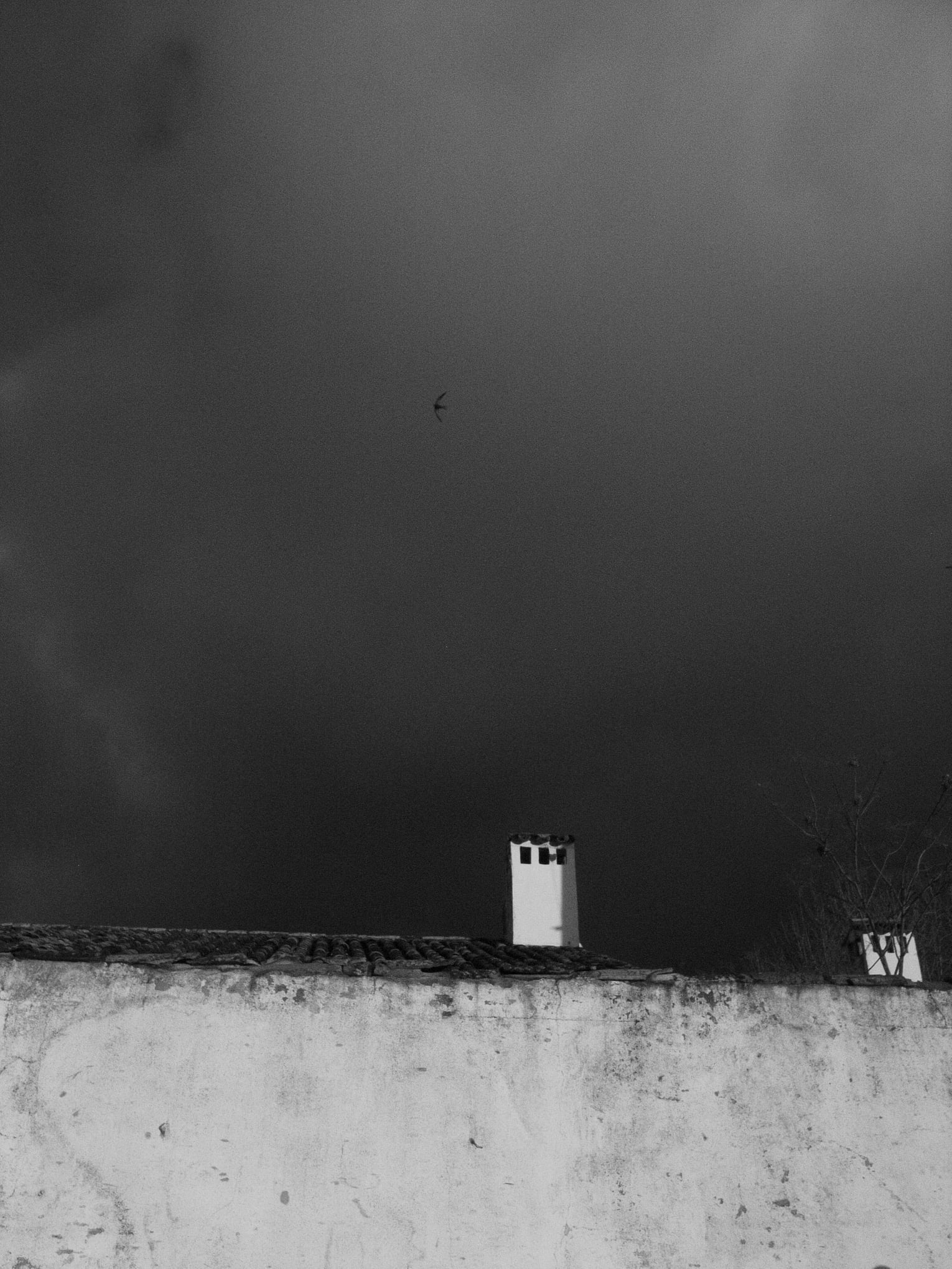 Grazalema · Tierra de lluvia