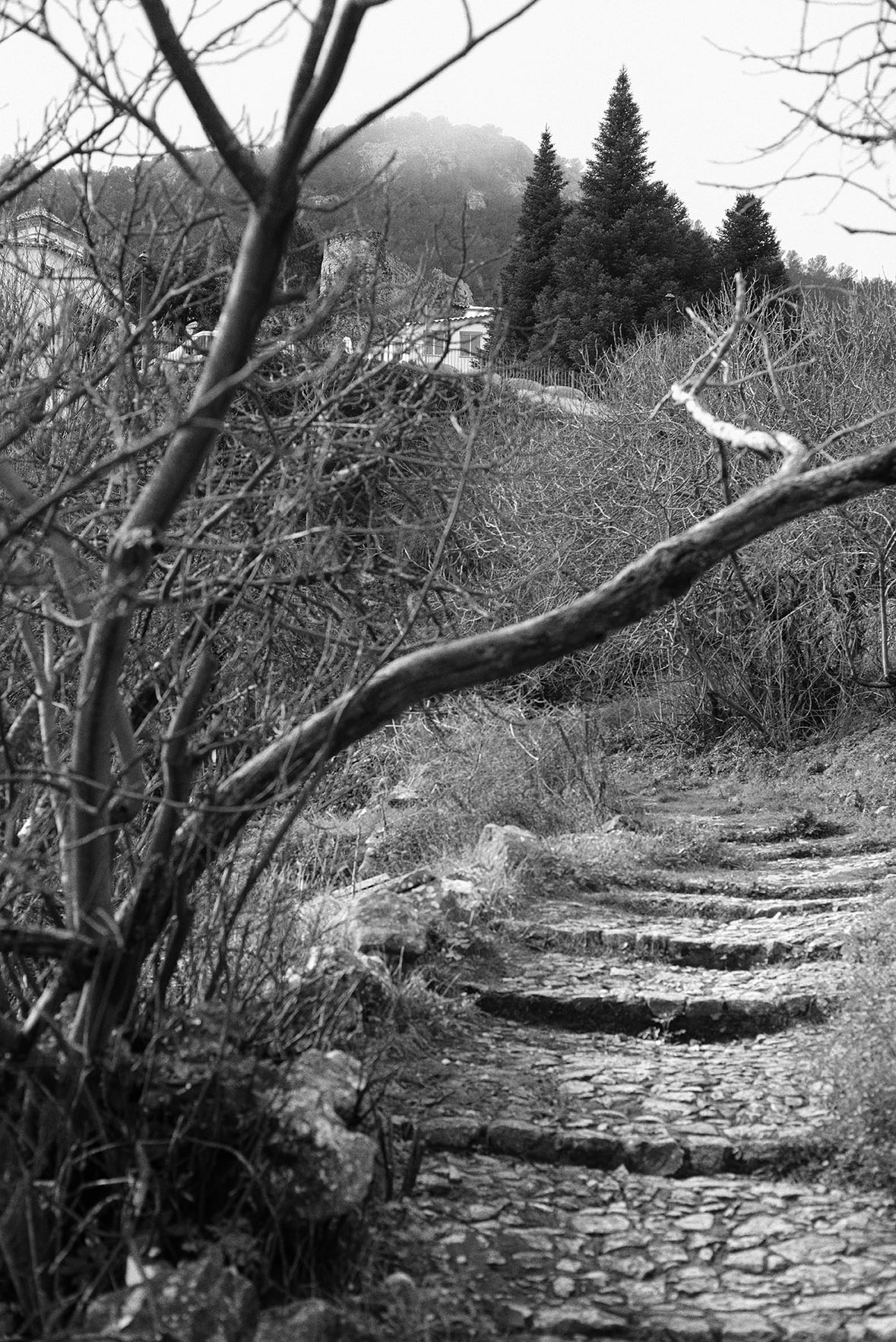 Grazalema · Tierra de lluvia