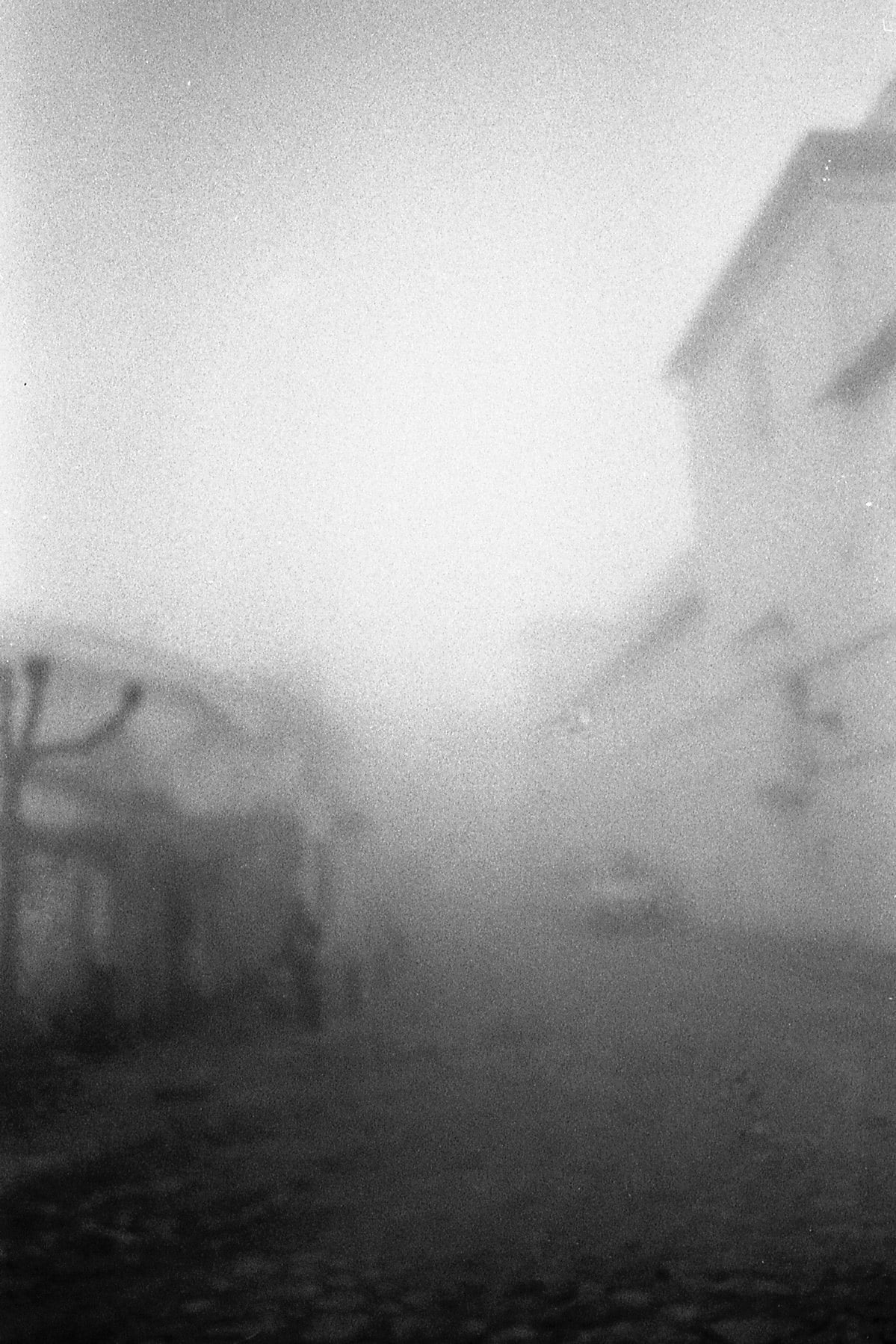 Grazalema · Tierra de lluvia