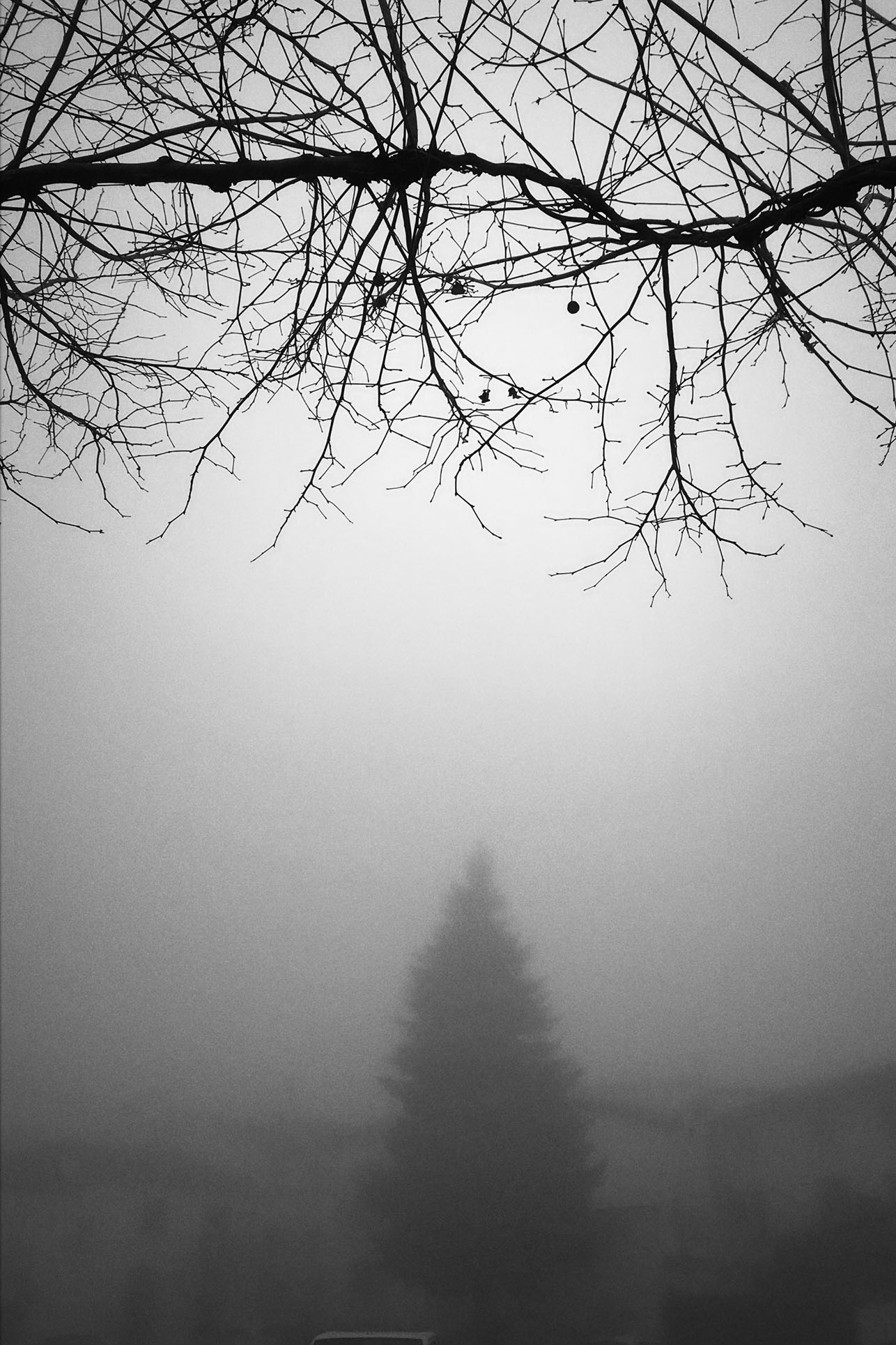 Grazalema · Tierra de lluvia