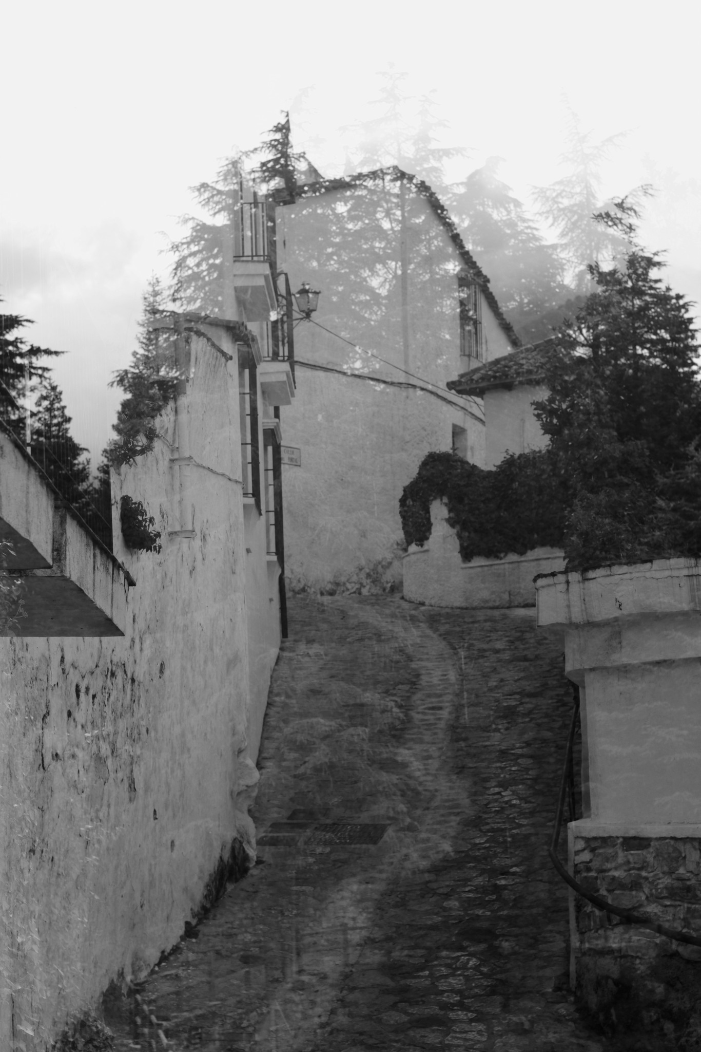Fragmentos