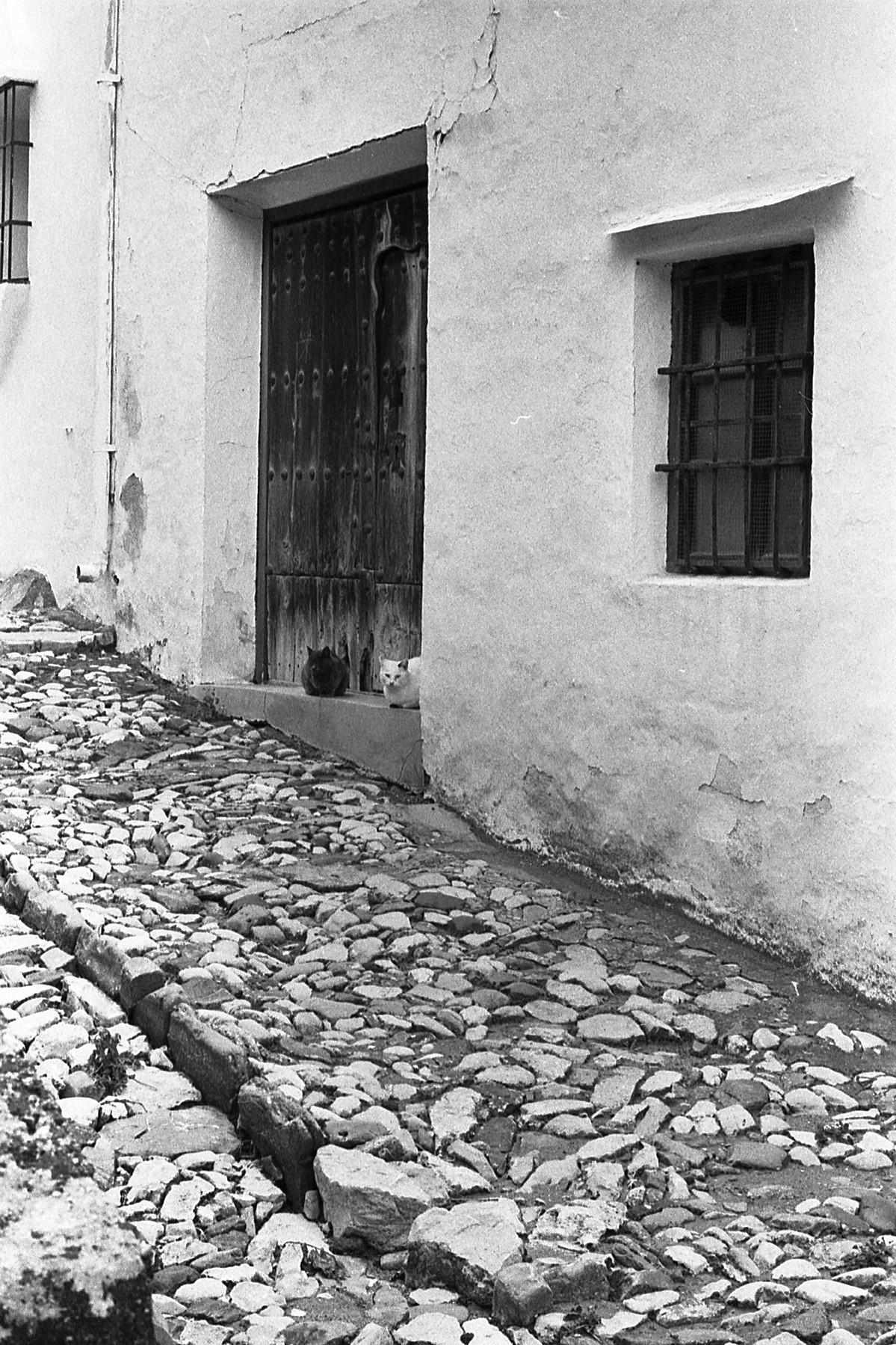 Habitantes de Chefzalema