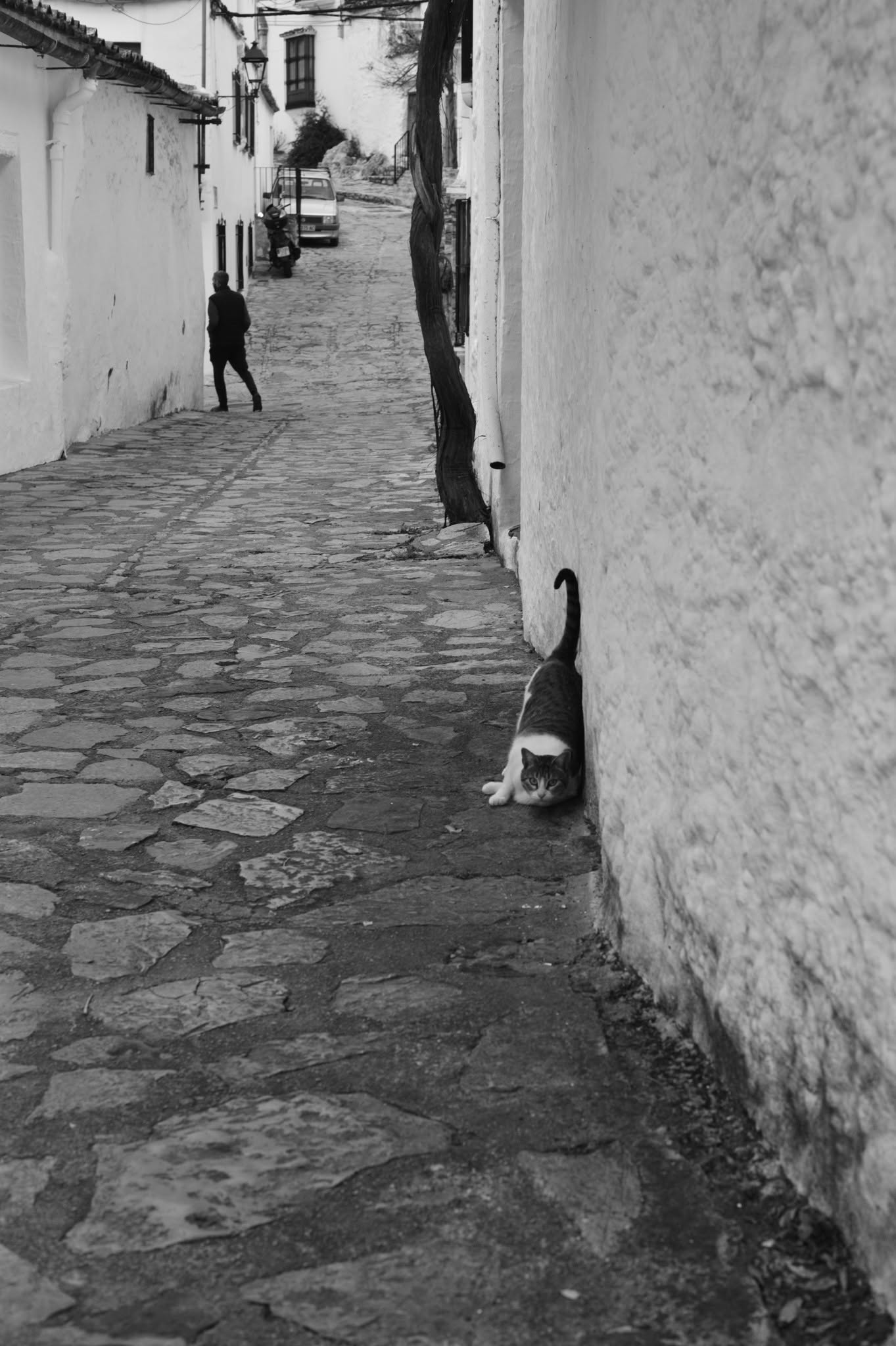 Habitantes de Chefzalema