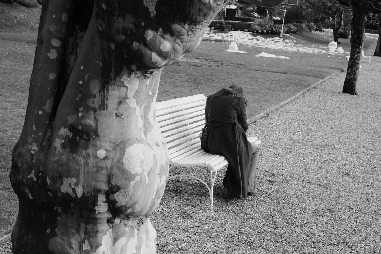 Presencias